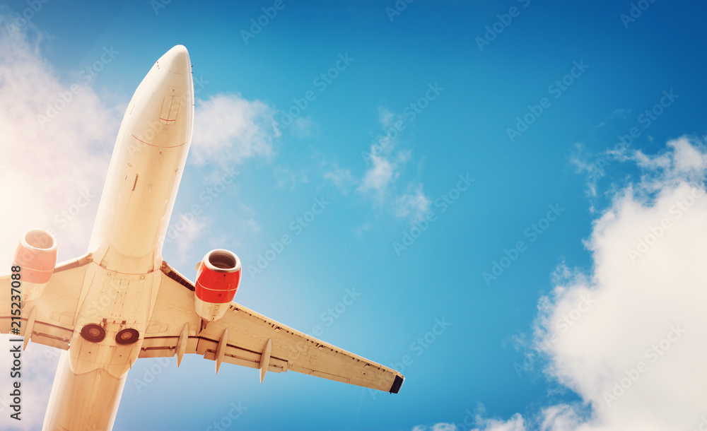 Wall mural plane at landing on blue sky background with white clouds. airplane turbine and wing view