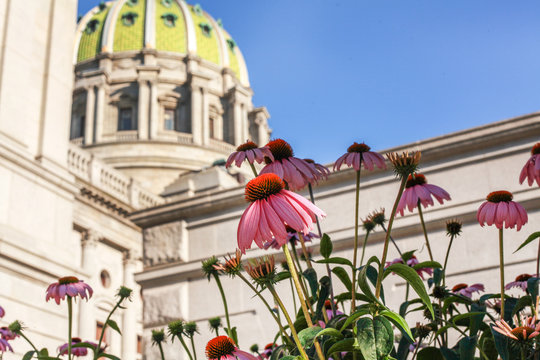 Harrisburg Pennsylvania Capitol with flower