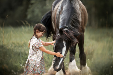 Little girl with shire horse