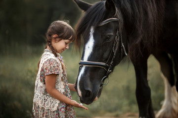 Little girl with shire horse - 215239879