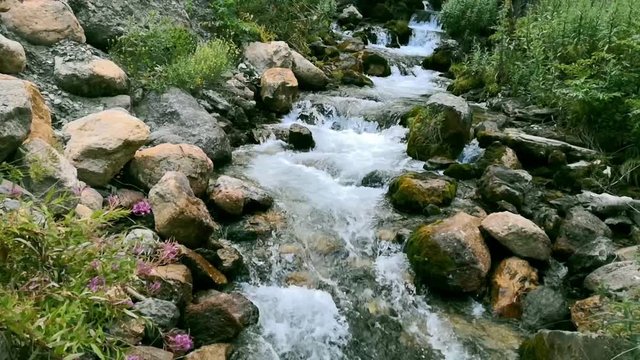 T&uuml;rkiye Isparta Dedeg&ouml;l Dağı Pınarg&ouml;z&uuml; Milli Parkı / Akarsu