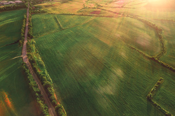 Aerial view of the field at morning