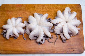whole fresh raw octopus on cutting board closeup on rustic wooden table