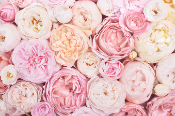 Sommerblühende zarte Rose auf festlichem Hintergrund der blühenden Blumen, Pastell und weicher Blumenstraußblumenkarte