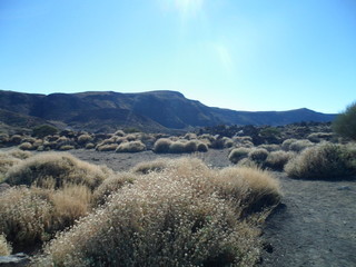 Blick auf den Teide und seine Umgebung