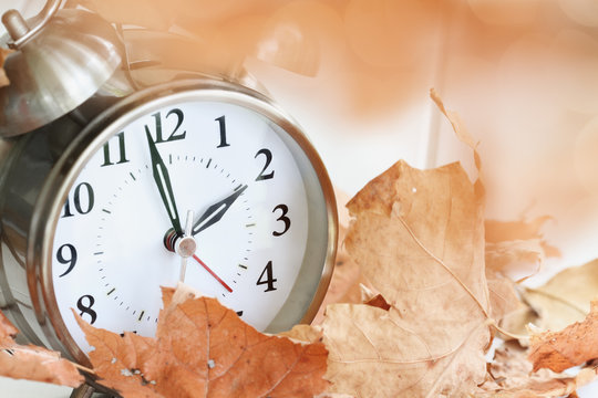Alarm clock in fallen autumn leaves with shallow depth of field. Daylight savings time concept with clock hands at almost 2 am.