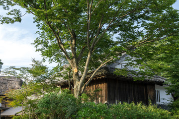Fototapeta na wymiar traditional japanese house