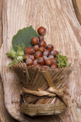Noisettes 