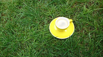 Coffee yellow cup © Monika