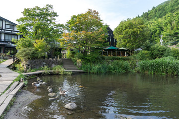 Obraz premium kinrin lake afternoon reflections