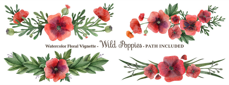 Wild Poppy hand painted watercolor headline or ending vingette