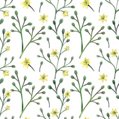 Meadow Plants hand painted watercolor seamless pattern
