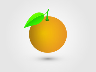 A round orange fruit on white background vector illustration