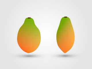 Golden and green fresh ripe papaya vector illustration