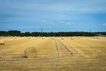 New hay rolls in land