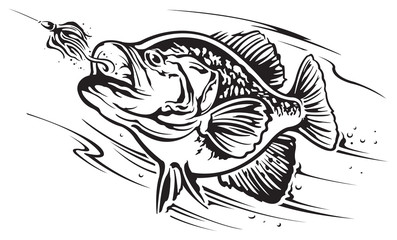 Download Search photos Category Animals > Aquatic and Marine Life > Fish
