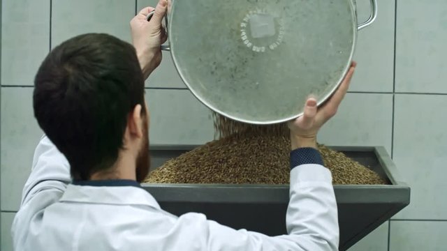 Rear view of brewery worker in lab coat putting grains into large steel vat for milling into grist