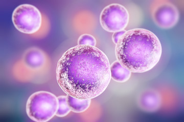 Fototapeta na wymiar Human cells on colorful background, 3D illustration