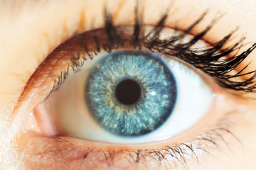 macro blue eyes 