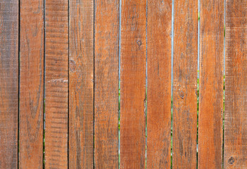 The weathered old gray wooden fence is painted with a bright orange color, close-up
