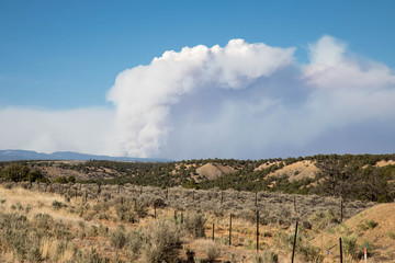 Column of smoke from the 416 forest fire near Durango, Colorado