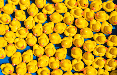 Gummienten