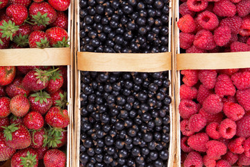 fresh raspberry currant berries and strawberries