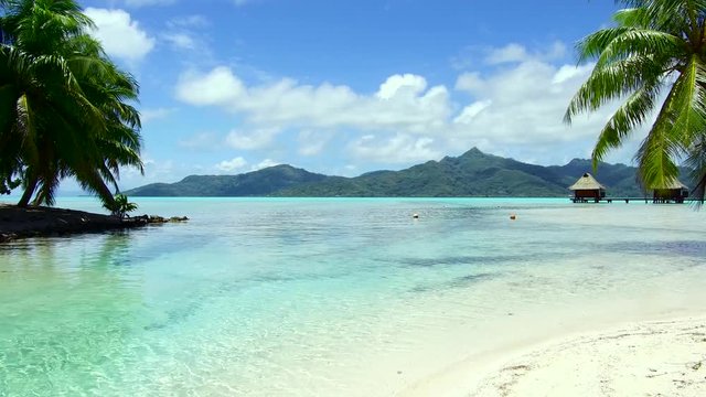 travel, seascape and nature concept - tropical beach with palm trees and bungalows in french polynesia