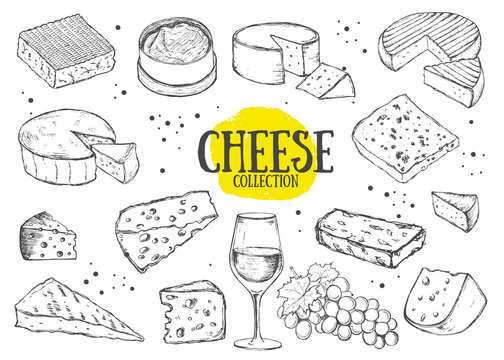 Cheese collection. Vector hand drawn illustration