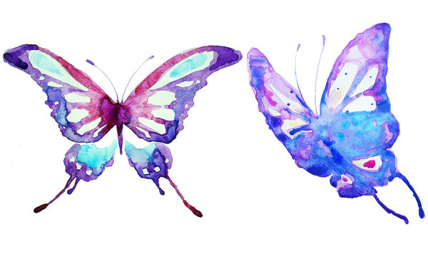 blue butterflies design, isolated on a white background