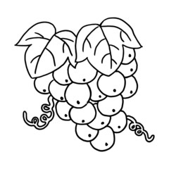 Cartoon grape isolated on the white background for children without color