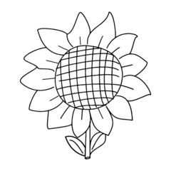 Cartoon sun flower isolated on the white background for children without color