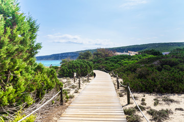 Path through pristine and emerald coast watercolor beach of Formentera Island in the mediterranean sea, Balearic Island, in front of Ibiza Island. Unesco World Heritage site. 