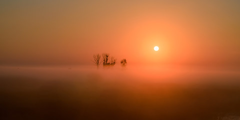 Fototapeta na wymiar Biebrza Natural Park - foggy sunrise over Biebrza river. 