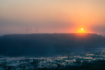 Biebrza Natural Park - foggy sunrise over Biebrza river. 