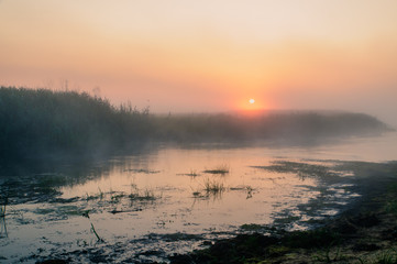 Biebrza Natural Park - foggy sunrise over Biebrza river. 