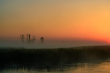 Biebrza Natural Park - foggy sunrise over Biebrza river. 