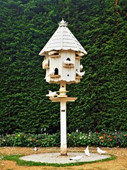 Dovecote in a garden with white doves