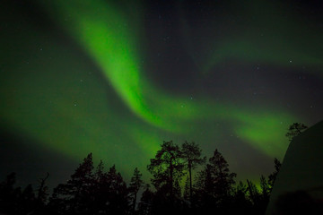 Amazing Northern Lights aurora borealis in Finalnd nordic nature landscape background. Very strong Northern Lights with trees background. Aurora borealis attract every year tourists and nature lovers.