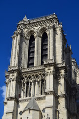 The magnificent gothic cathedral of Notre Dame in Paris