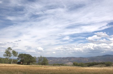 ACEllis & Company - Digital Art