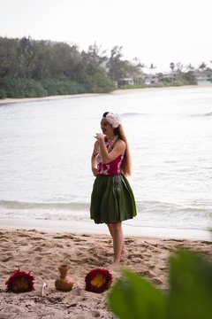 Hawaii hula dancer in costume dancing