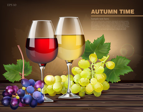 Two glasses of wine and grapes vine Vector realistic