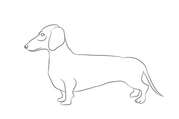dog stands, lines, vector