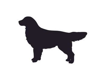 dog stands, silhouette, vector