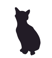 Cat silhouette, vector