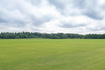 The well-groomed field from a natural grass for a game in a horse polo. The wood and the sky with clouds on a background. Horizontal shot
