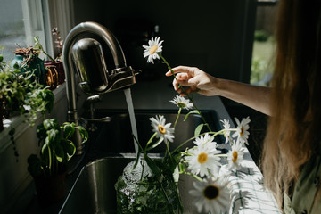 Cut flowers in a kitchen sink