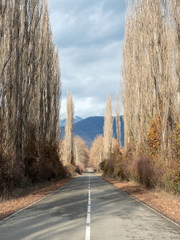 Autumn country road in Caucasus