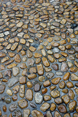 A wet stone pavement ground in a street of Cahors